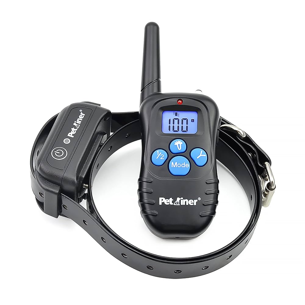 Debug Eqpt (デバッグ) ハートのK9チャーム 9金 ゴールド 910 New Design Dog Training Collar 2022 | PATPET